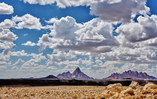 DSC_2420_00004