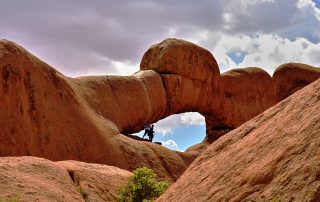 DSC_2470_00016