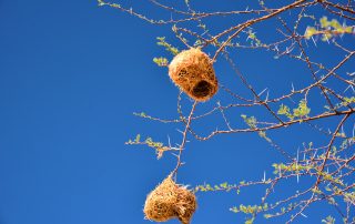 DSC_2488_00028