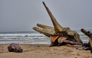 DSC_2781_00085