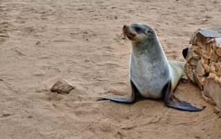 DSC_2812_00091
