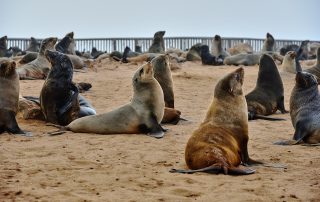 DSC_2814_00092