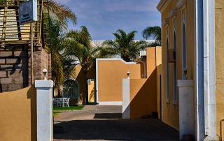 DSC_4537