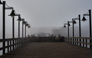 DSC_2851