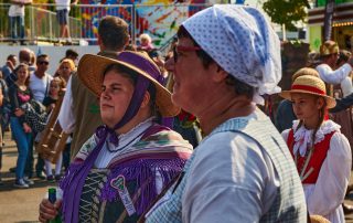 Wasen Volksfest Wasen Volksfest